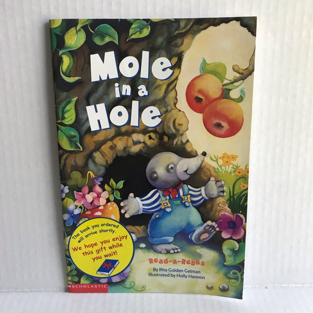 ♦️$3♦️ Mole In a Hole - read-a-rebus book